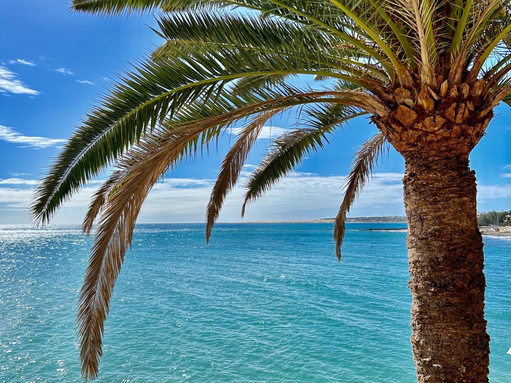Sobre El Mar Con Vistas A Las Dunas De Maspalomas San Agustín Exterior foto